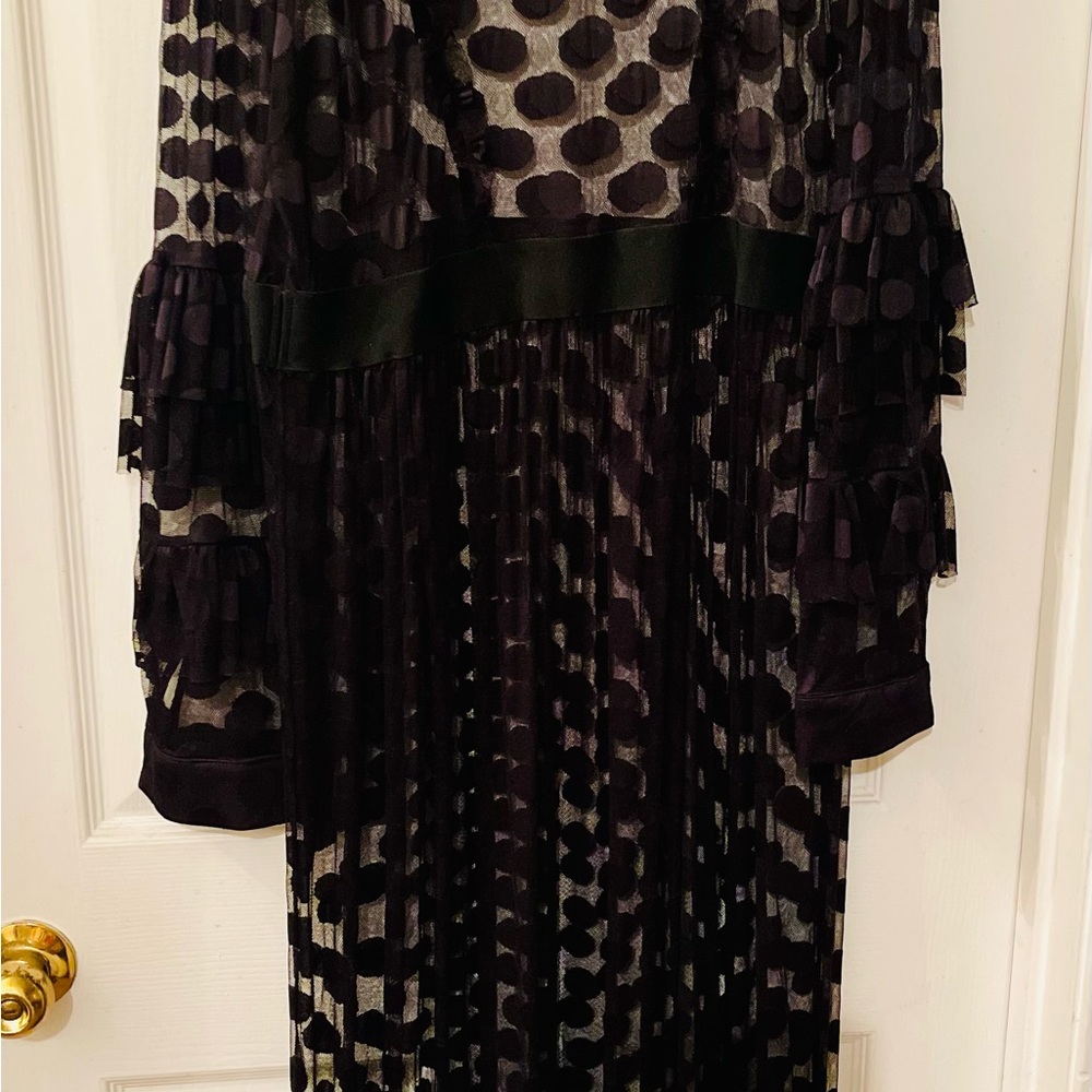 Black Sheer polka dot dress